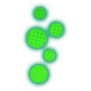 Poison